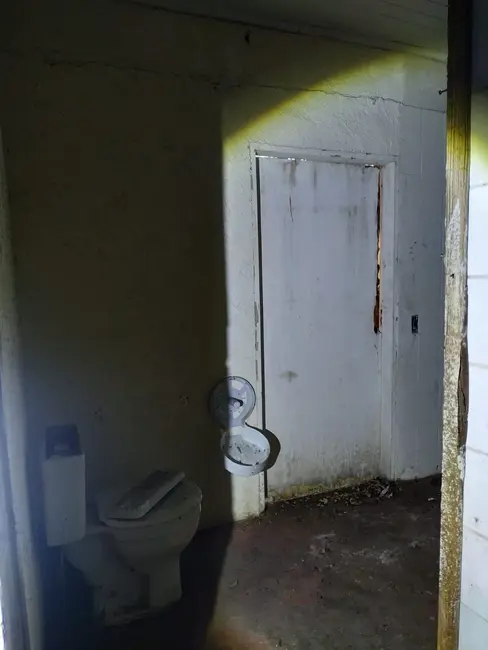 Foto 6 de Armazém / Galpão à venda e para alugar, 530m2 em Saúde, São Paulo - SP