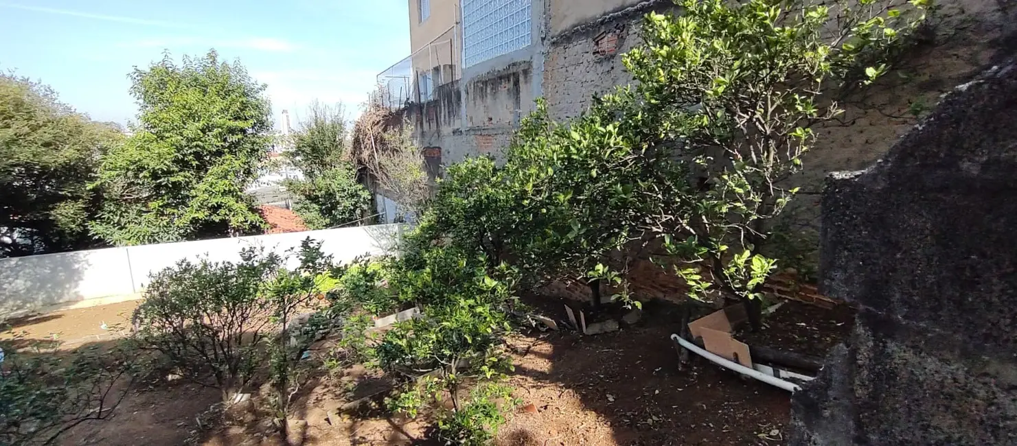 Foto 6 de Terreno / Lote à venda, 464m2 em Vila Gustavo, São Paulo - SP