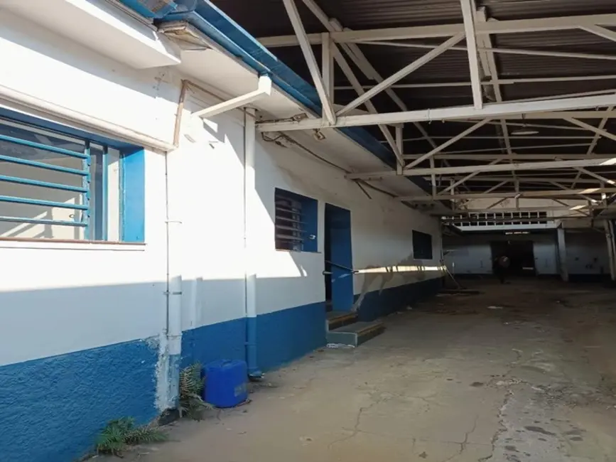 Foto 4 de Terreno / Lote à venda, 750m2 em Vila Romana, São Paulo - SP