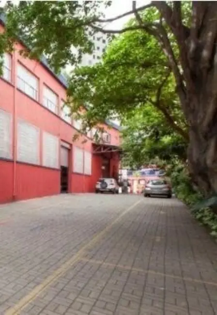 Loja à venda, 1800m2 em Cambuci, São Paulo - SP - imagem 9 Foto 9 de Loja à venda, 1800m2 em Cambuci, São Paulo - SP