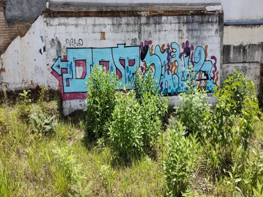 Foto 9 de Terreno / Lote à venda, 310m2 em Vila Germinal, São Paulo - SP