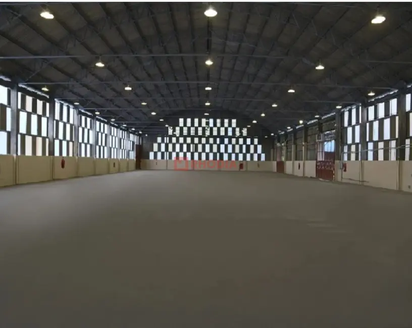 Armazém / Galpão para alugar, 4955m2 em Parque Novo Mundo, São Paulo - SP - imagem 7 Foto 7 de Armazém / Galpão para alugar, 4955m2 em Parque Novo Mundo, São Paulo - SP