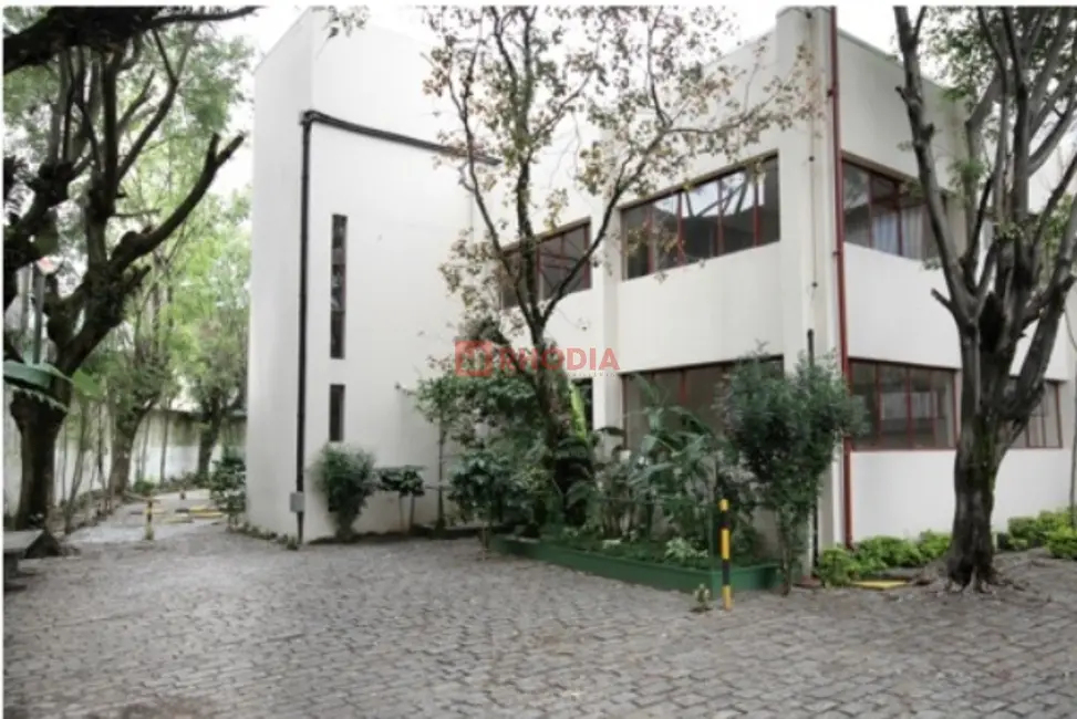 Armazém / Galpão para alugar, 4955m2 em Parque Novo Mundo, São Paulo - SP - imagem 8 Foto 8 de Armazém / Galpão para alugar, 4955m2 em Parque Novo Mundo, São Paulo - SP