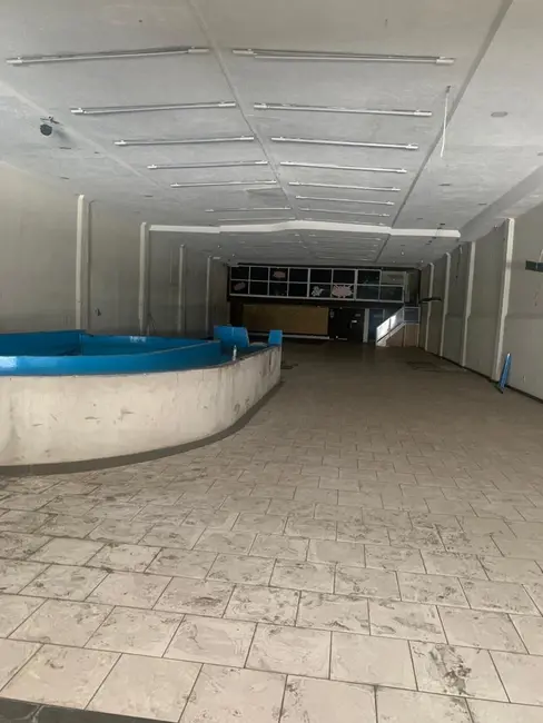 Armazém / Galpão à venda, 750m2 em Água Fria, São Paulo - SP - imagem 4 Foto 4 de Armazém / Galpão à venda, 750m2 em Água Fria, São Paulo - SP