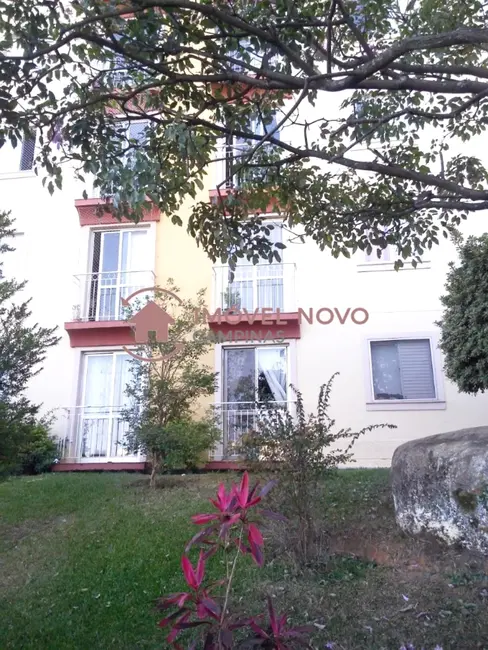 Apartamento com 3 quartos à venda, 70m2 em Jardim dos Oliveiras, Campinas - SP - imagem 3 Foto 3 de Apartamento com 3 quartos à venda, 70m2 em Jardim dos Oliveiras, Campinas - SP