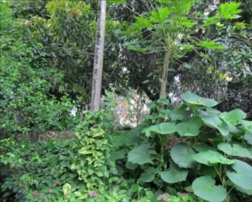 Casa com 3 quartos à venda, 300m2 em Vila São Francisco, São Paulo - SP - imagem 9 Foto 9 de Casa com 3 quartos à venda, 300m2 em Vila São Francisco, São Paulo - SP