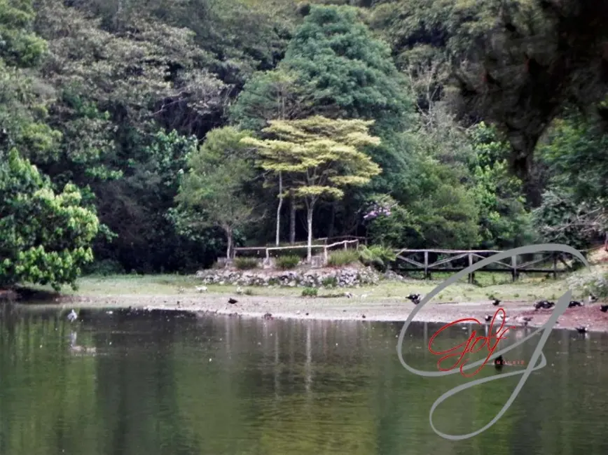 Foto 6 de Terreno / Lote à venda em Granja Viana, Cotia - SP