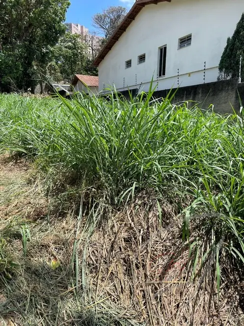 Foto 4 de Terreno / Lote à venda, 588m2 em Vila São Francisco, São Paulo - SP