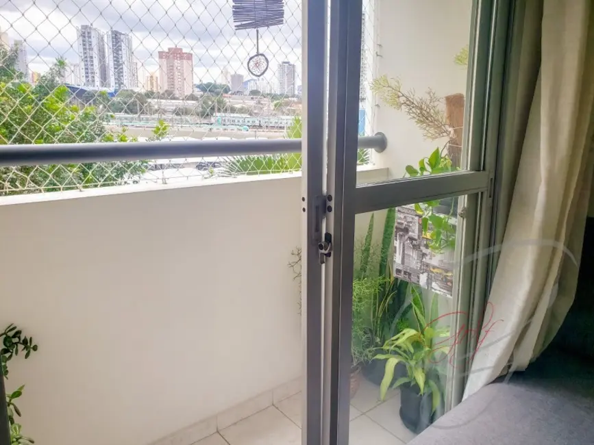 Foto 8 de Apartamento com 3 quartos à venda, 65m2 em Continental, Osasco - SP