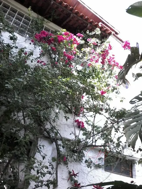 Foto 7 de Sala Comercial com 3 quartos para alugar, 252m2 em Vila Yara, Osasco - SP