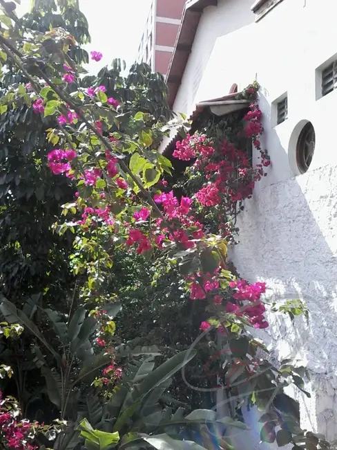 Foto 3 de Sala Comercial com 3 quartos para alugar, 252m2 em Vila Yara, Osasco - SP