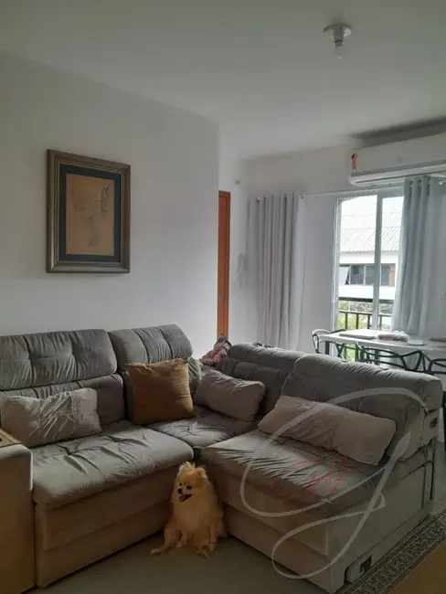 Foto 1 de Apartamento com 2 quartos à venda, 36m2 em Ferreira, São Paulo - SP