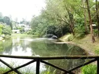 Imagem 16