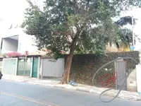 Imagem 7