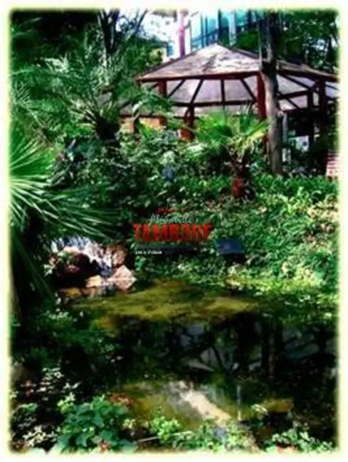 Foto 7 de Sala Comercial para alugar, 280m2 em Condomínio Centro Comercial Alphaville, Barueri - SP