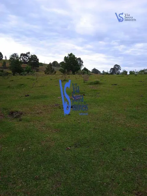 Sítio / Rancho com 4 quartos à venda, 37000m2 em Centro, Sao Francisco De Paula - RS - imagem 4 Foto 4 de Sítio / Rancho com 4 quartos à venda, 37000m2 em Centro, Sao Francisco De Paula - RS