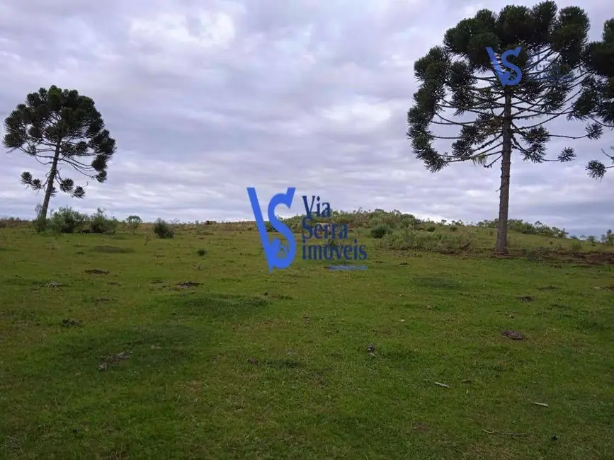 Sítio / Rancho com 4 quartos à venda, 37000m2 em Centro, Sao Francisco De Paula - RS - imagem 5 Foto 5 de Sítio / Rancho com 4 quartos à venda, 37000m2 em Centro, Sao Francisco De Paula - RS