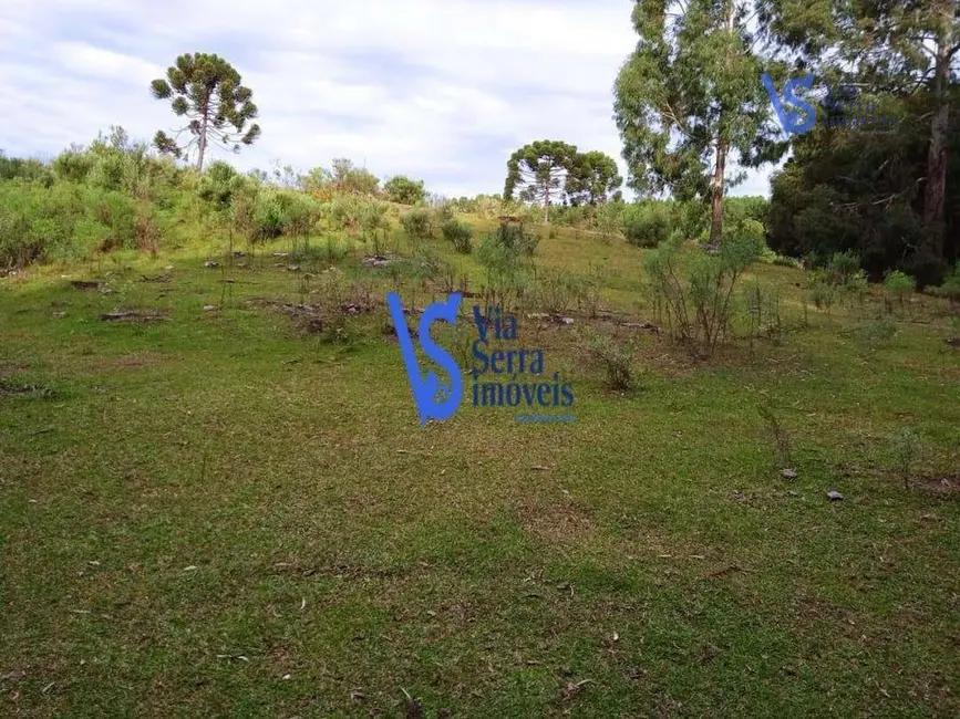 Sítio / Rancho com 4 quartos à venda, 37000m2 em Centro, Sao Francisco De Paula - RS - imagem 7 Foto 7 de Sítio / Rancho com 4 quartos à venda, 37000m2 em Centro, Sao Francisco De Paula - RS