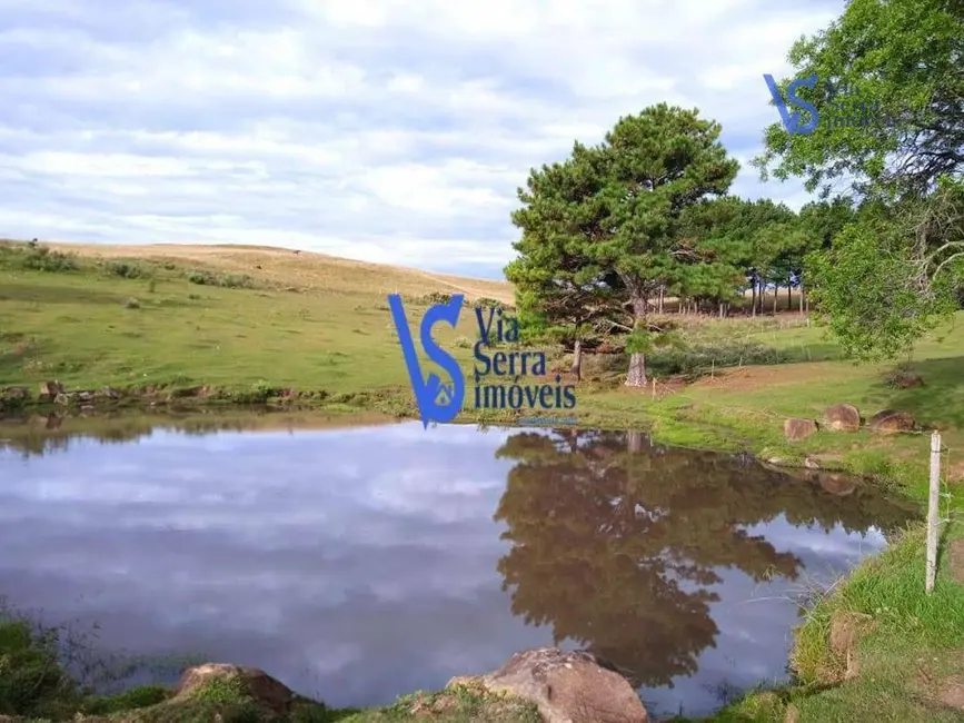 Sítio / Rancho com 4 quartos à venda, 37000m2 em Centro, Sao Francisco De Paula - RS - imagem 1 Foto 1 de Sítio / Rancho com 4 quartos à venda, 37000m2 em Centro, Sao Francisco De Paula - RS