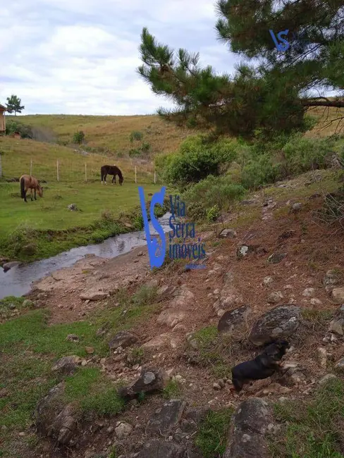 Sítio / Rancho com 4 quartos à venda, 37000m2 em Centro, Sao Francisco De Paula - RS - imagem 6 Foto 6 de Sítio / Rancho com 4 quartos à venda, 37000m2 em Centro, Sao Francisco De Paula - RS