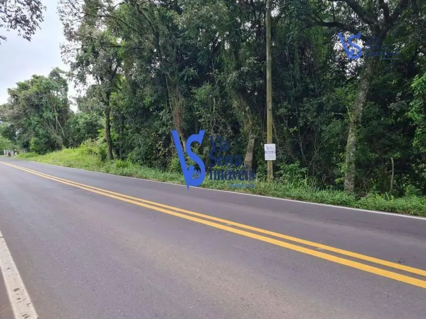 Foto 4 de Sítio / Rancho à venda, 110000m2 em Igrejinha - RS