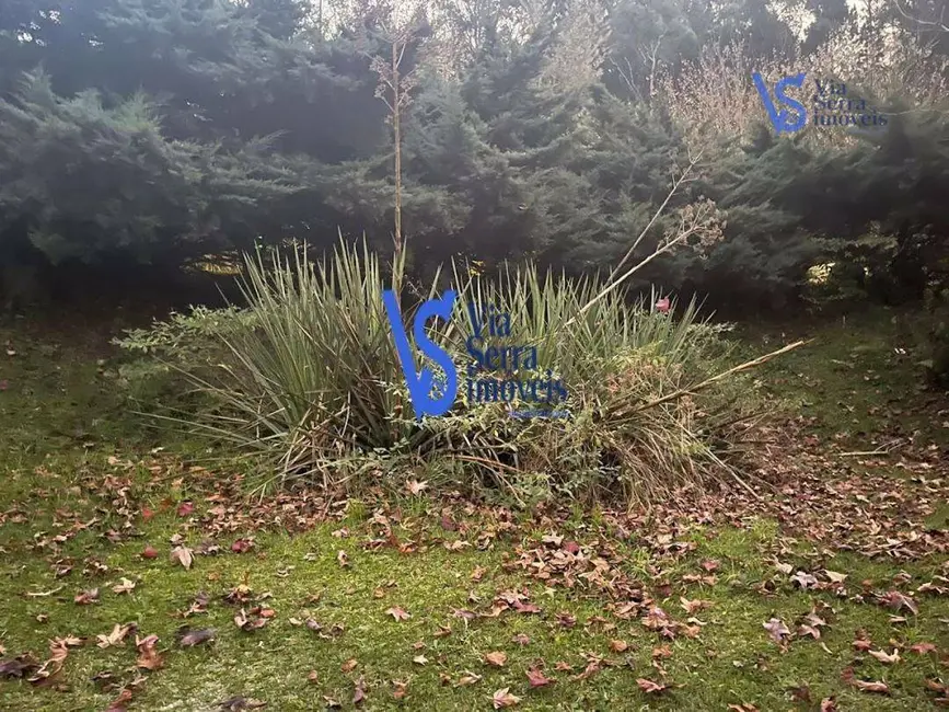 Foto 5 de Terreno / Lote à venda, 822m2 em Gramado - RS