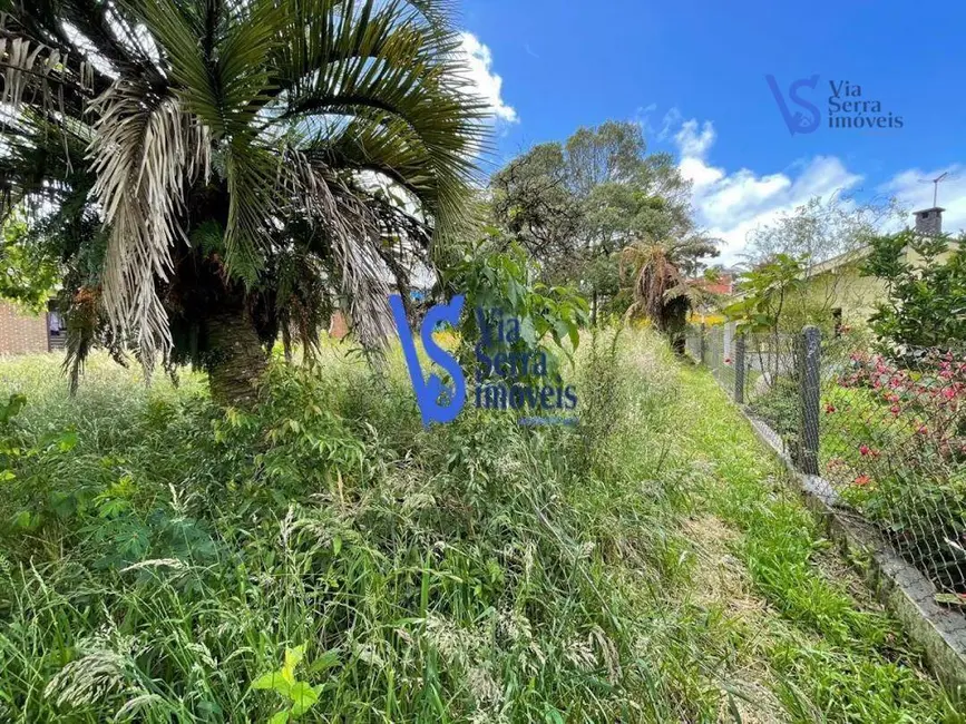 Terreno / Lote à venda, 1247m2 em Centro, Canela - RS - imagem 5 Foto 5 de Terreno / Lote à venda, 1247m2 em Centro, Canela - RS