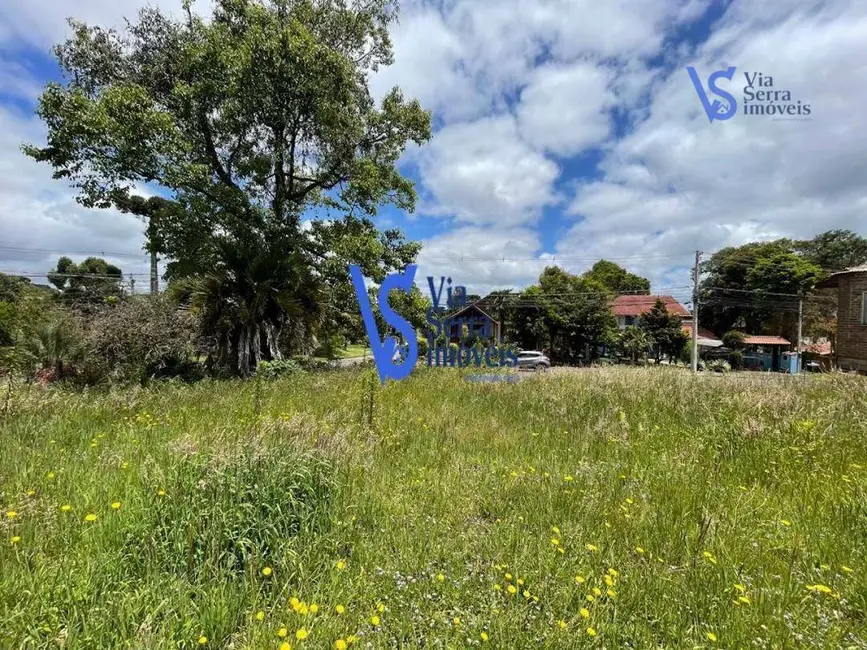Terreno / Lote à venda, 1247m2 em Centro, Canela - RS - imagem 8 Foto 8 de Terreno / Lote à venda, 1247m2 em Centro, Canela - RS