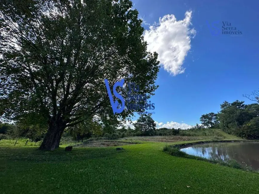 Foto 3 de Sítio / Rancho à venda, 210000m2 em Centro, Tres Coroas - RS