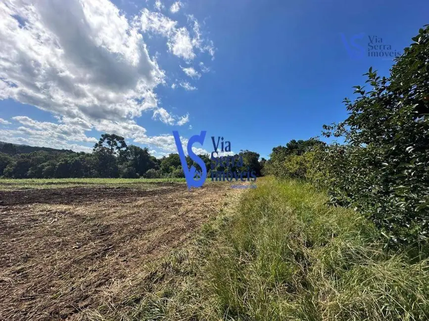 Foto 6 de Sítio / Rancho à venda, 210000m2 em Centro, Tres Coroas - RS