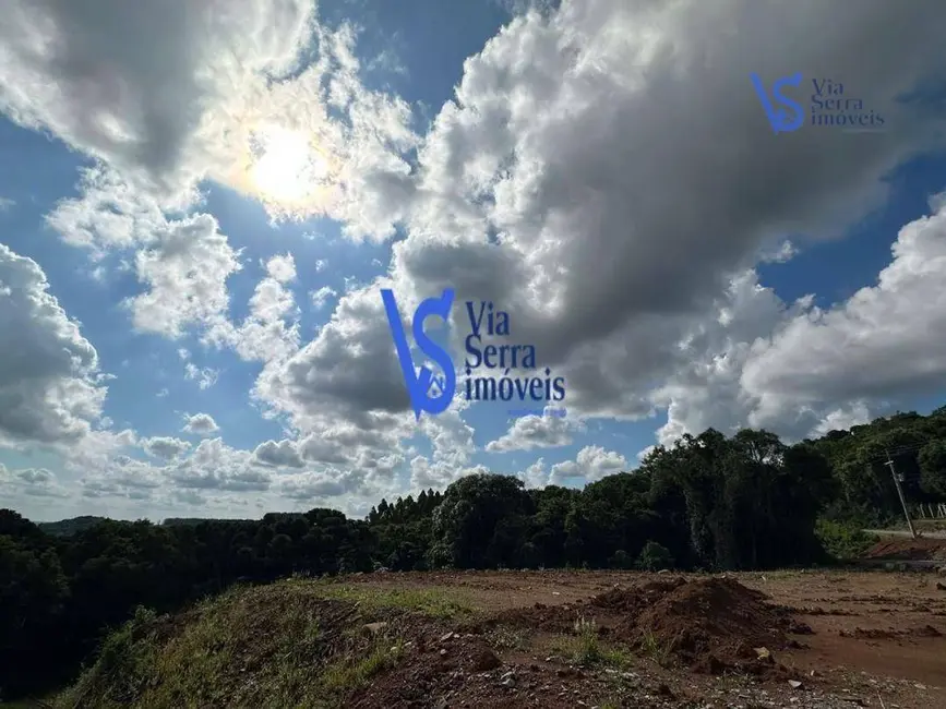 Foto 4 de Sítio / Rancho à venda, 8057m2 em Santa Maria Do Herval - RS