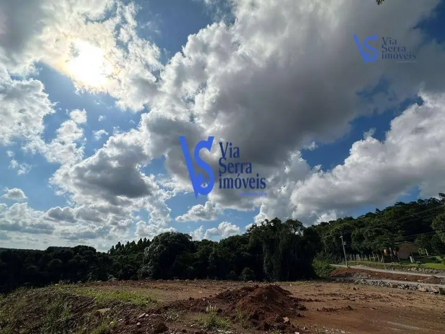 Foto 3 de Sítio / Rancho à venda, 8057m2 em Santa Maria Do Herval - RS