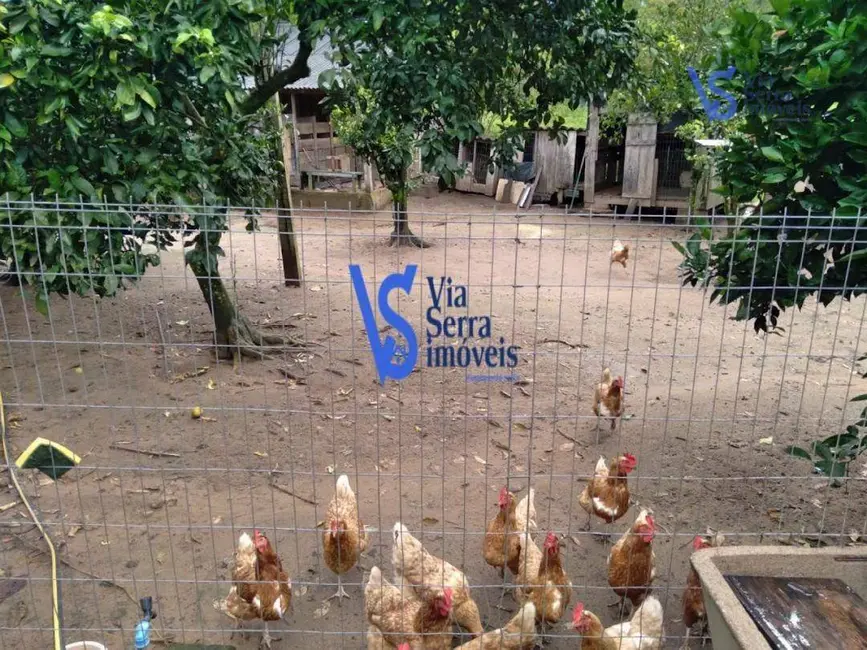 Sítio / Rancho com 2 quartos à venda, 21000m2 em Taquara - RS - imagem 4 Foto 4 de Sítio / Rancho com 2 quartos à venda, 21000m2 em Taquara - RS