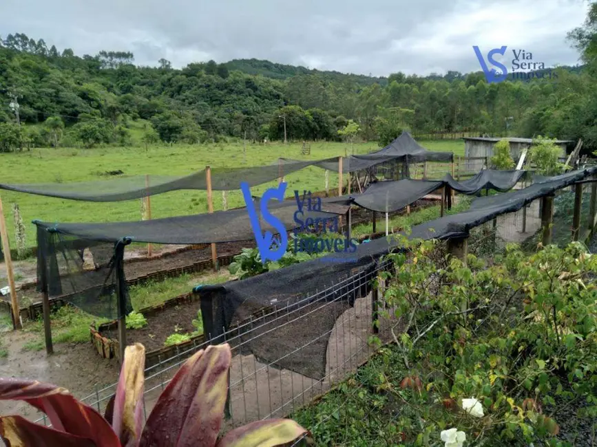 Sítio / Rancho com 2 quartos à venda, 21000m2 em Taquara - RS - imagem 5 Foto 5 de Sítio / Rancho com 2 quartos à venda, 21000m2 em Taquara - RS