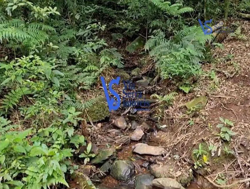 Sítio / Rancho à venda, 50000m2 em Sao Francisco De Paula - RS - imagem 6 Foto 6 de Sítio / Rancho à venda, 50000m2 em Sao Francisco De Paula - RS