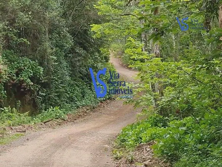 Sítio / Rancho à venda, 50000m2 em Sao Francisco De Paula - RS - imagem 7 Foto 7 de Sítio / Rancho à venda, 50000m2 em Sao Francisco De Paula - RS