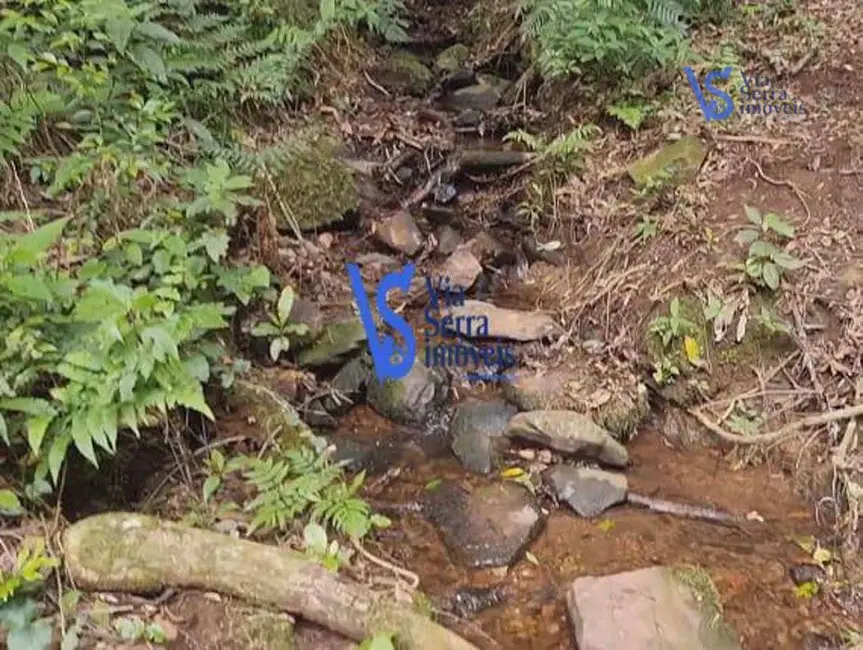 Sítio / Rancho à venda, 50000m2 em Sao Francisco De Paula - RS - imagem 5 Foto 5 de Sítio / Rancho à venda, 50000m2 em Sao Francisco De Paula - RS