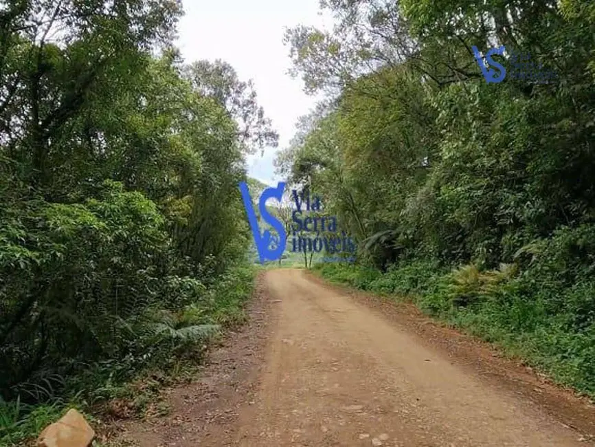 Sítio / Rancho à venda, 50000m2 em Sao Francisco De Paula - RS - imagem 9 Foto 9 de Sítio / Rancho à venda, 50000m2 em Sao Francisco De Paula - RS