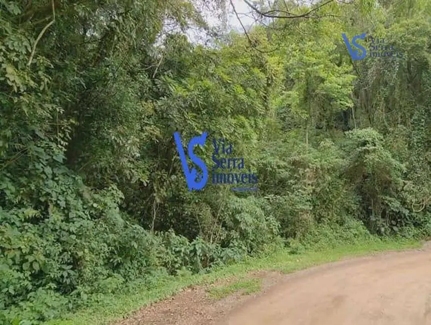 Sítio / Rancho à venda, 50000m2 em Sao Francisco De Paula - RS - imagem 8 Foto 8 de Sítio / Rancho à venda, 50000m2 em Sao Francisco De Paula - RS