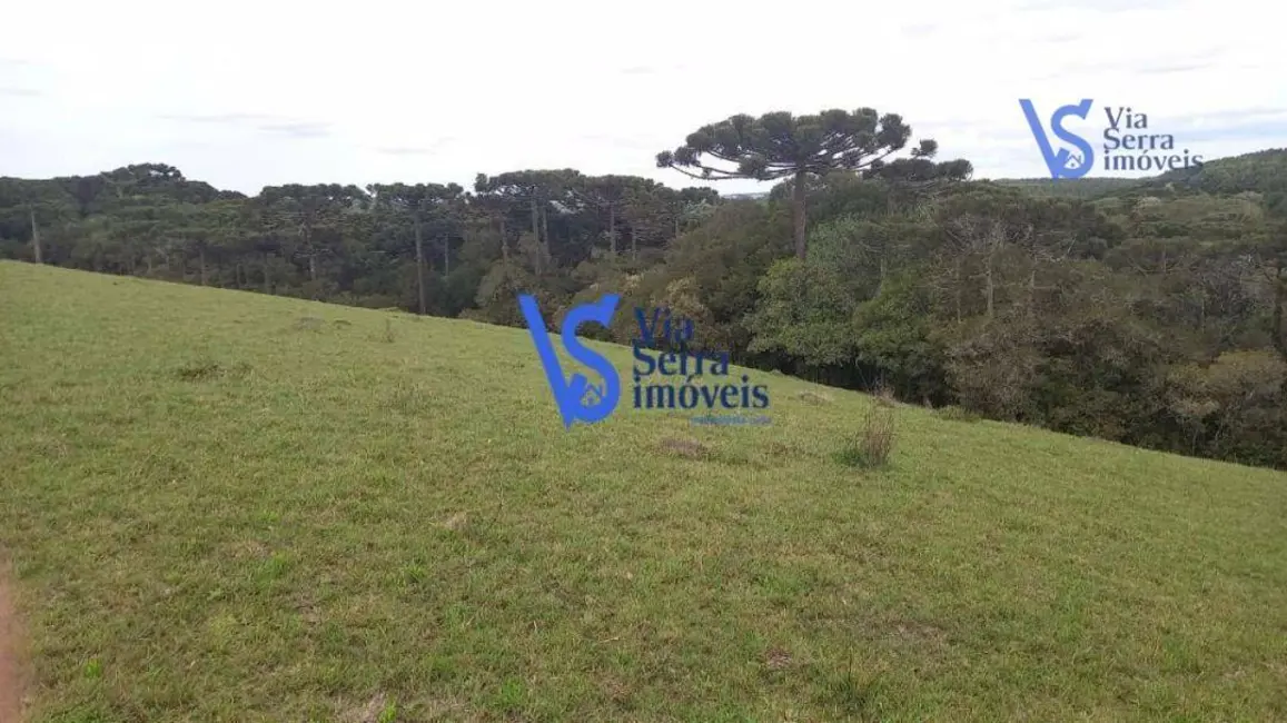 Sítio / Rancho à venda, 50000m2 em Sao Francisco De Paula - RS - imagem 3 Foto 3 de Sítio / Rancho à venda, 50000m2 em Sao Francisco De Paula - RS
