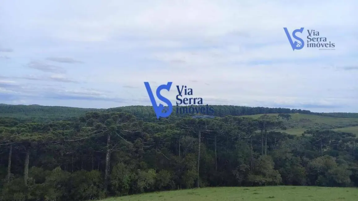 Sítio / Rancho à venda, 50000m2 em Sao Francisco De Paula - RS - imagem 4 Foto 4 de Sítio / Rancho à venda, 50000m2 em Sao Francisco De Paula - RS