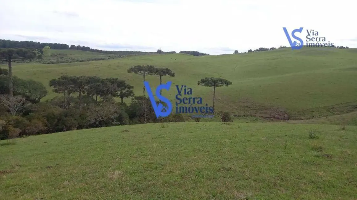 Foto 1 de Sítio / Rancho à venda, 50000m2 em Sao Francisco De Paula - RS