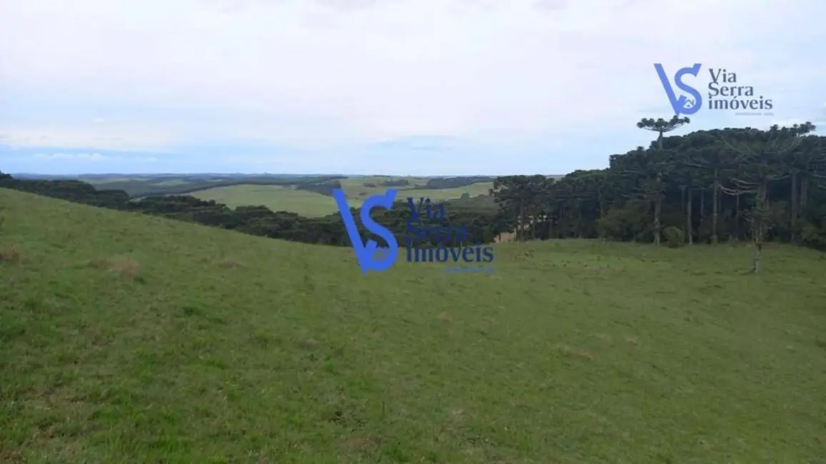 Sítio / Rancho à venda, 50000m2 em Sao Francisco De Paula - RS - imagem 6 Foto 6 de Sítio / Rancho à venda, 50000m2 em Sao Francisco De Paula - RS
