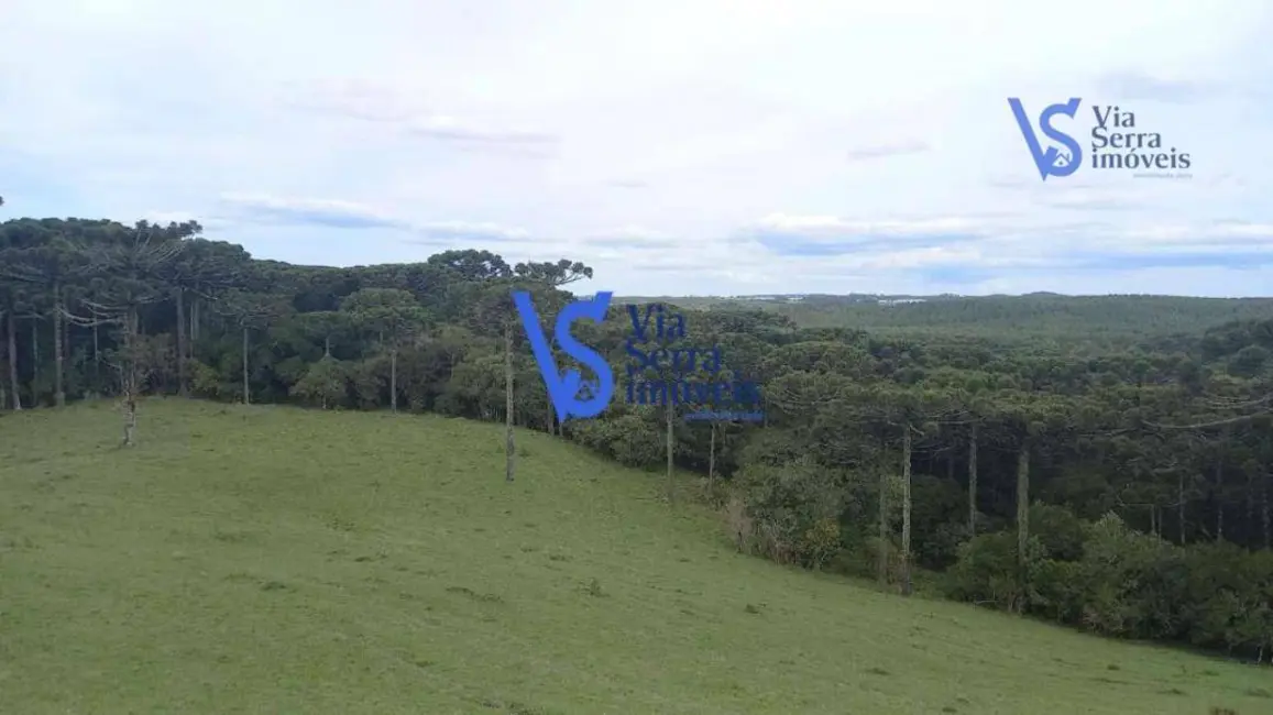 Sítio / Rancho à venda, 50000m2 em Sao Francisco De Paula - RS - imagem 7 Foto 7 de Sítio / Rancho à venda, 50000m2 em Sao Francisco De Paula - RS