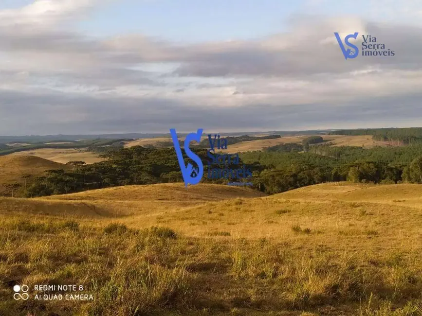 Sítio / Rancho à venda, 150000m2 em Sao Francisco De Paula - RS - imagem 9 Foto 9 de Sítio / Rancho à venda, 150000m2 em Sao Francisco De Paula - RS