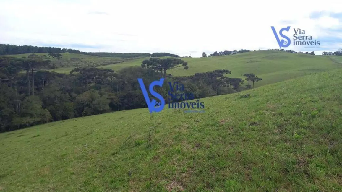 Sítio / Rancho à venda, 150000m2 em Sao Francisco De Paula - RS - imagem 5 Foto 5 de Sítio / Rancho à venda, 150000m2 em Sao Francisco De Paula - RS