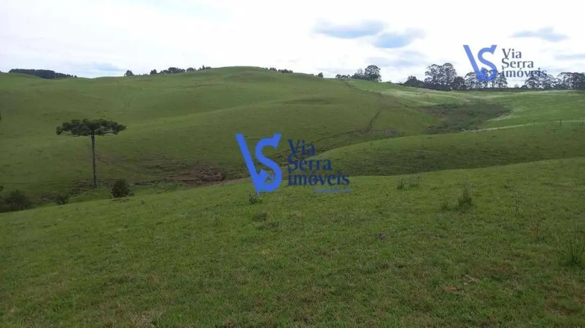 Sítio / Rancho à venda, 150000m2 em Sao Francisco De Paula - RS - imagem 3 Foto 3 de Sítio / Rancho à venda, 150000m2 em Sao Francisco De Paula - RS