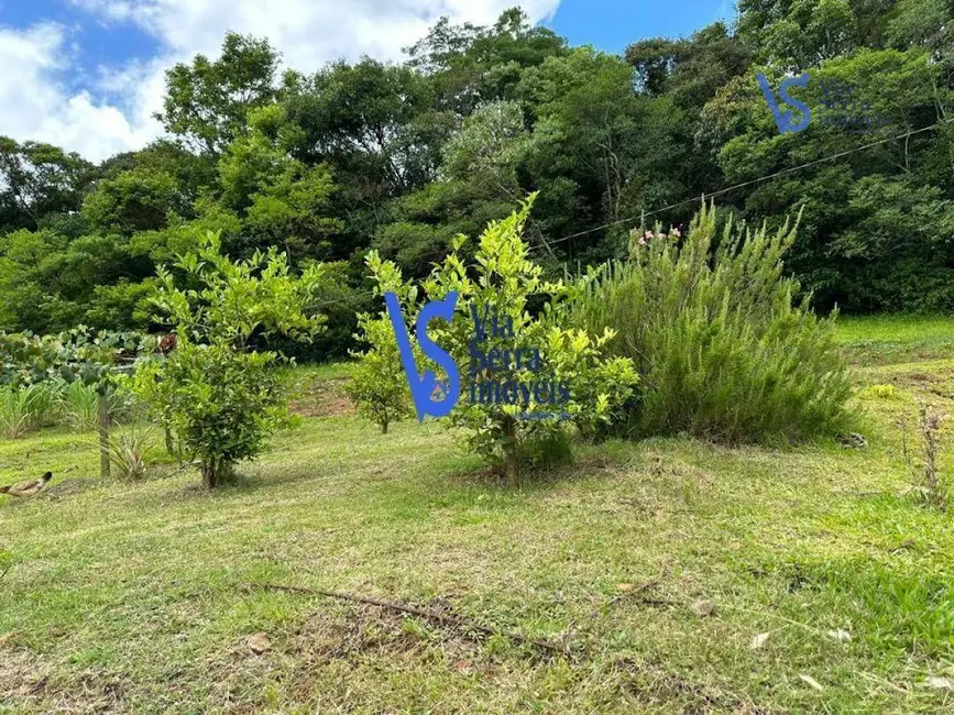 Foto 3 de Sítio / Rancho com 4 quartos à venda, 7245m2 em Centro, Tres Coroas - RS