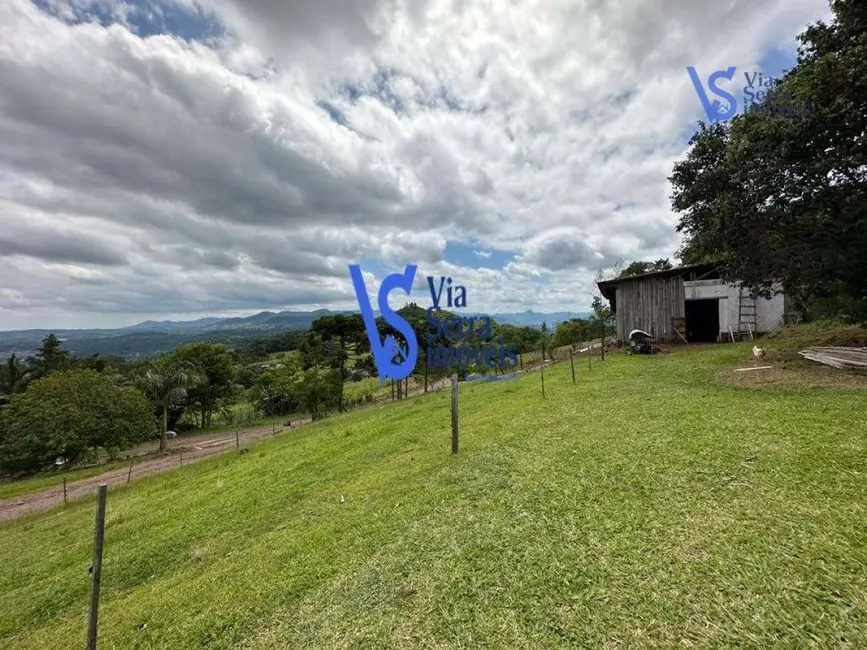 Foto 5 de Sítio / Rancho com 4 quartos à venda, 7245m2 em Centro, Tres Coroas - RS