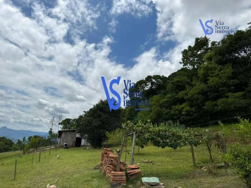 Foto 6 de Sítio / Rancho com 4 quartos à venda, 7245m2 em Centro, Tres Coroas - RS